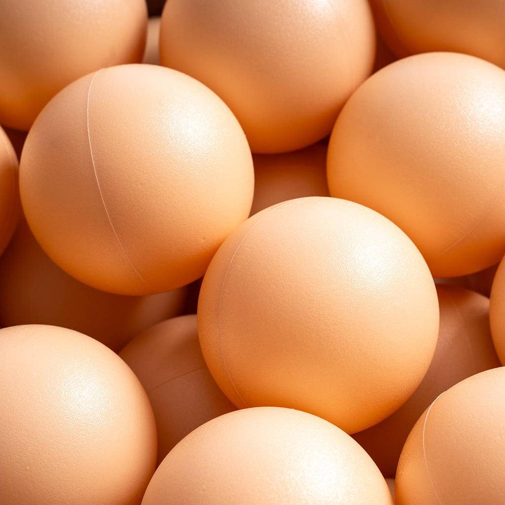 15 g commercial grade ball pit balls, nude matte color